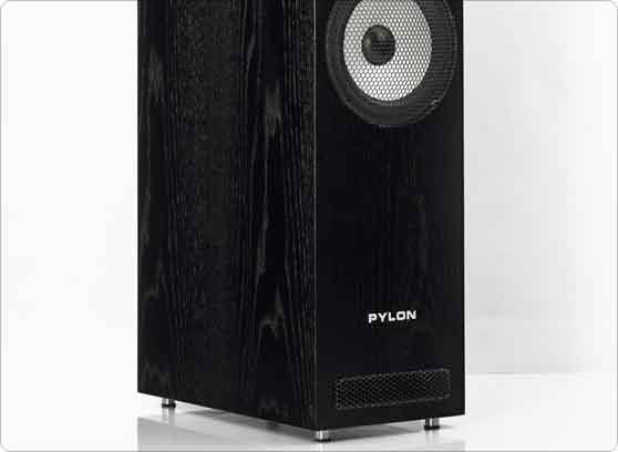 Pylon Audio Ruby 30 - cecha 3